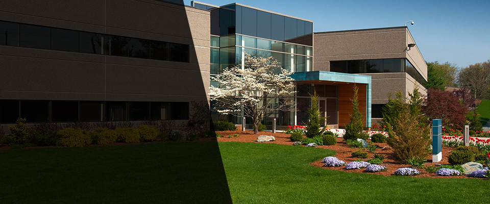 Metairie Landscapers