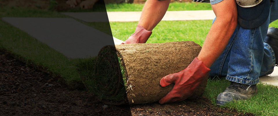 Metairie Landscapers